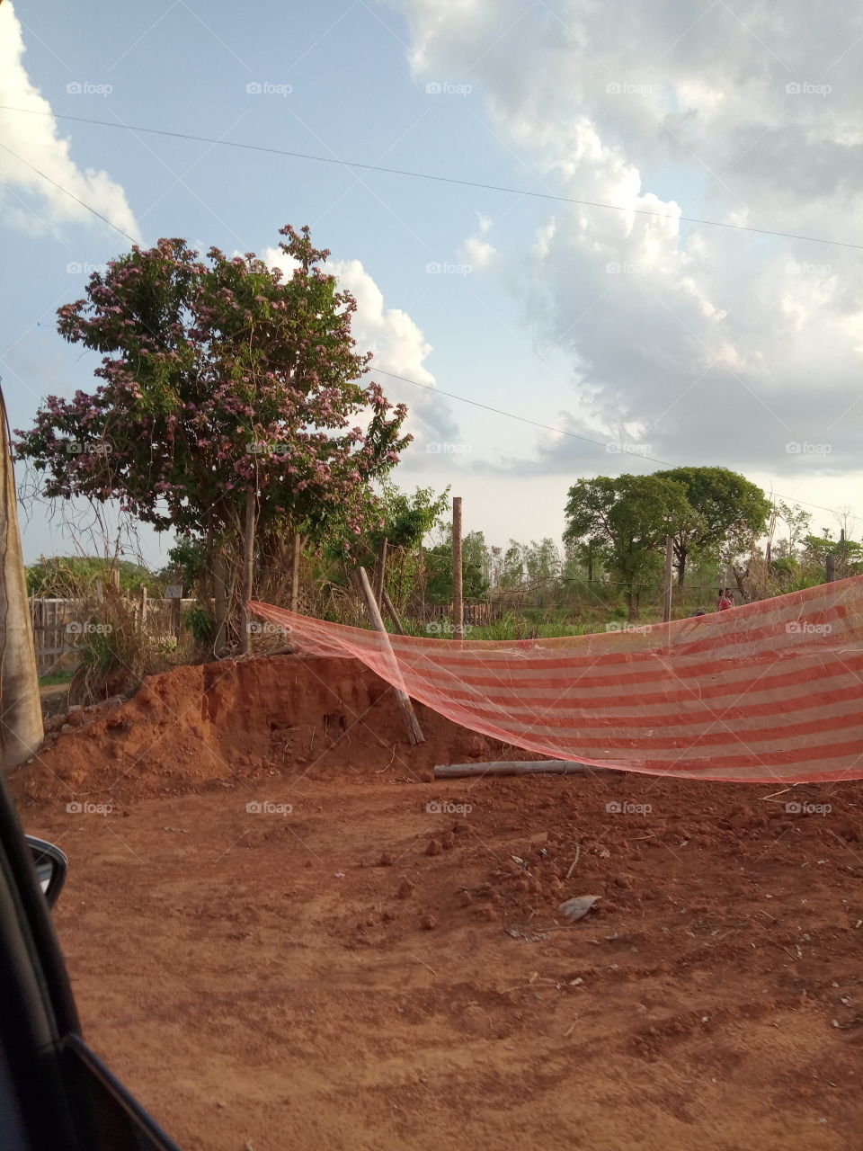 O Encanto das flores