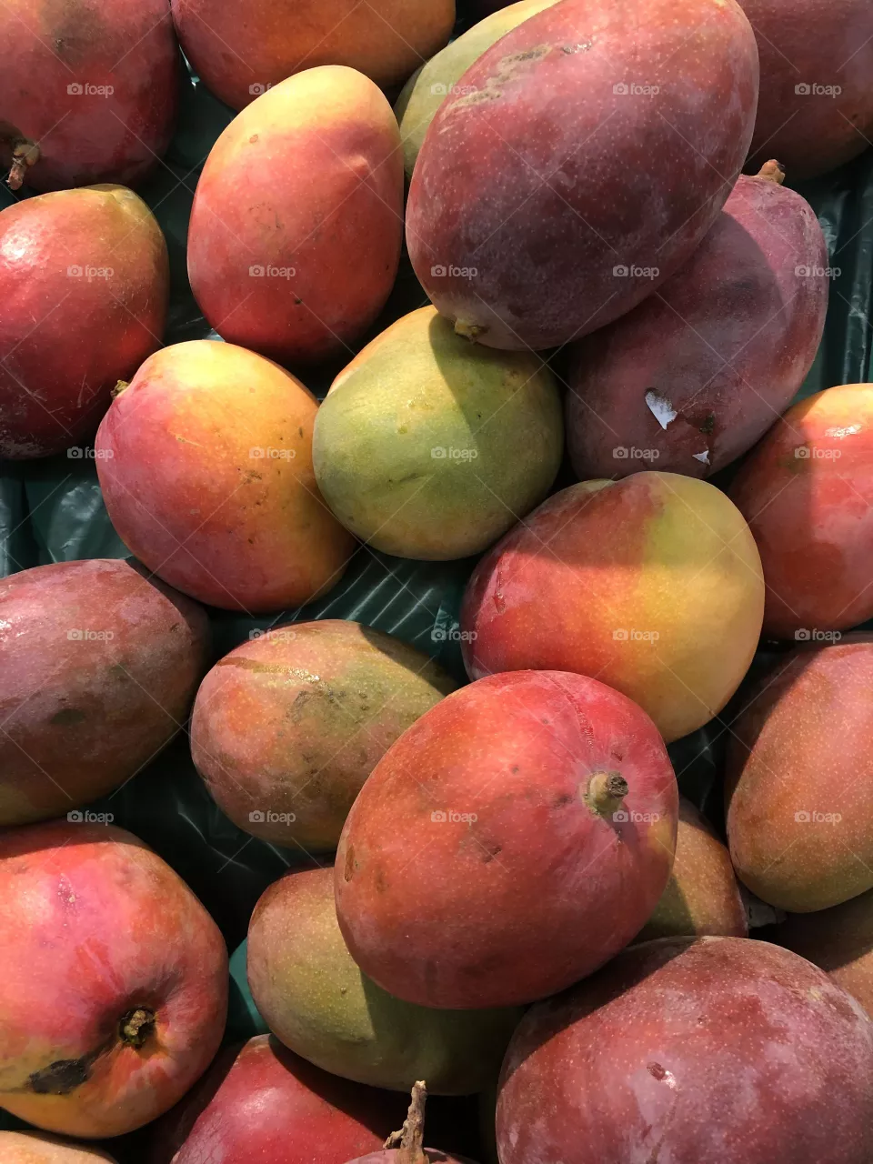 Fruits 