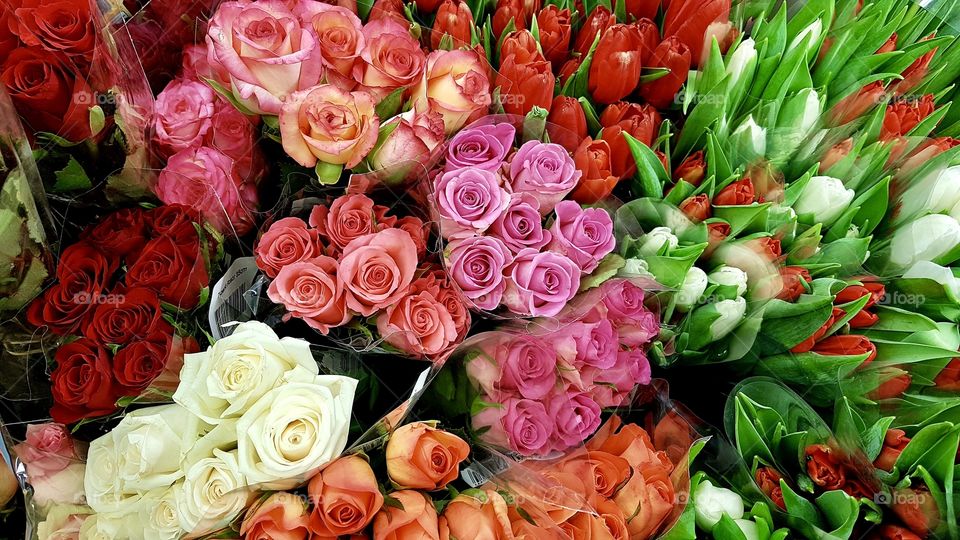Fresh flower bouquets , roses tulips in different colors from above  - blombuketter rosor tulpaner i olika färger 