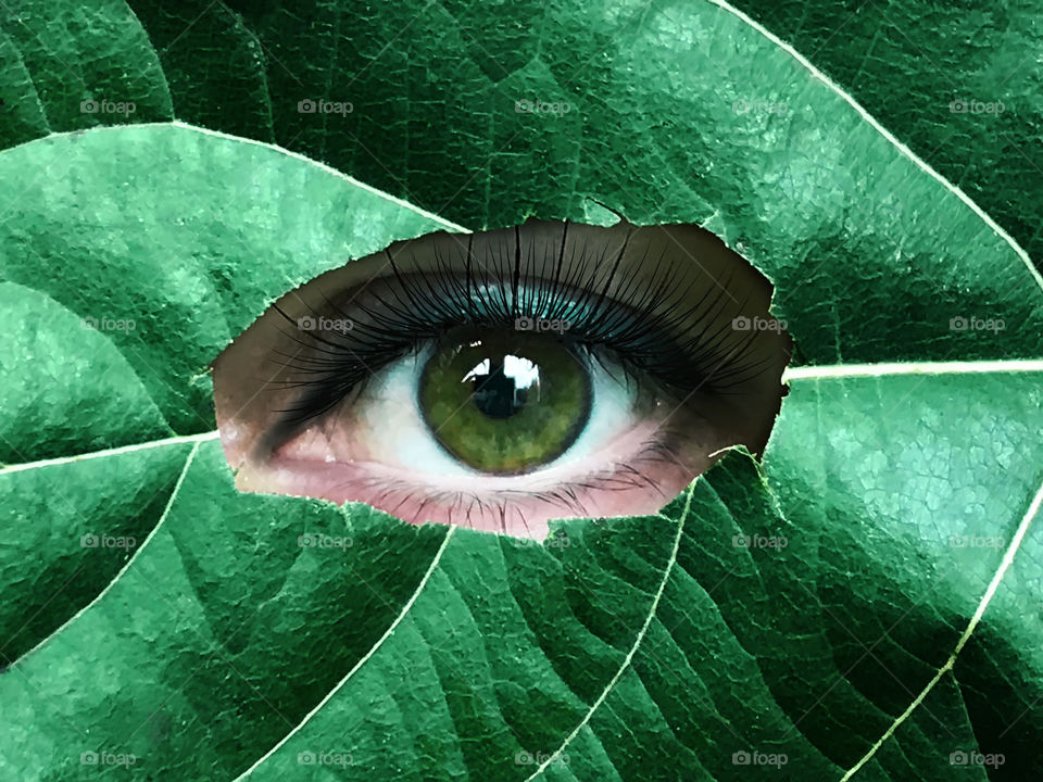 Green female eye watching through the green leaf 
