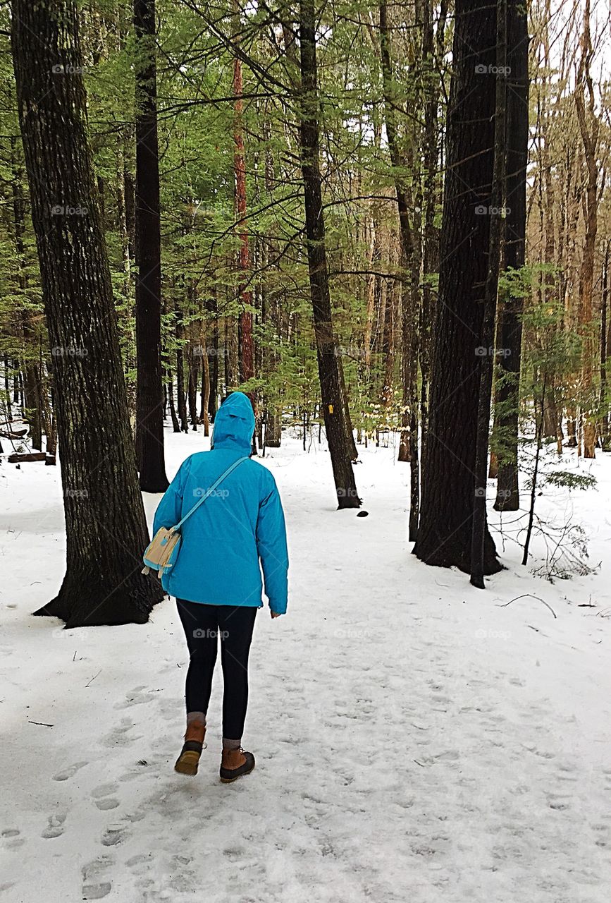 Taking a hike on a nice April spring day in New Hampshire after a late season snow storm. 