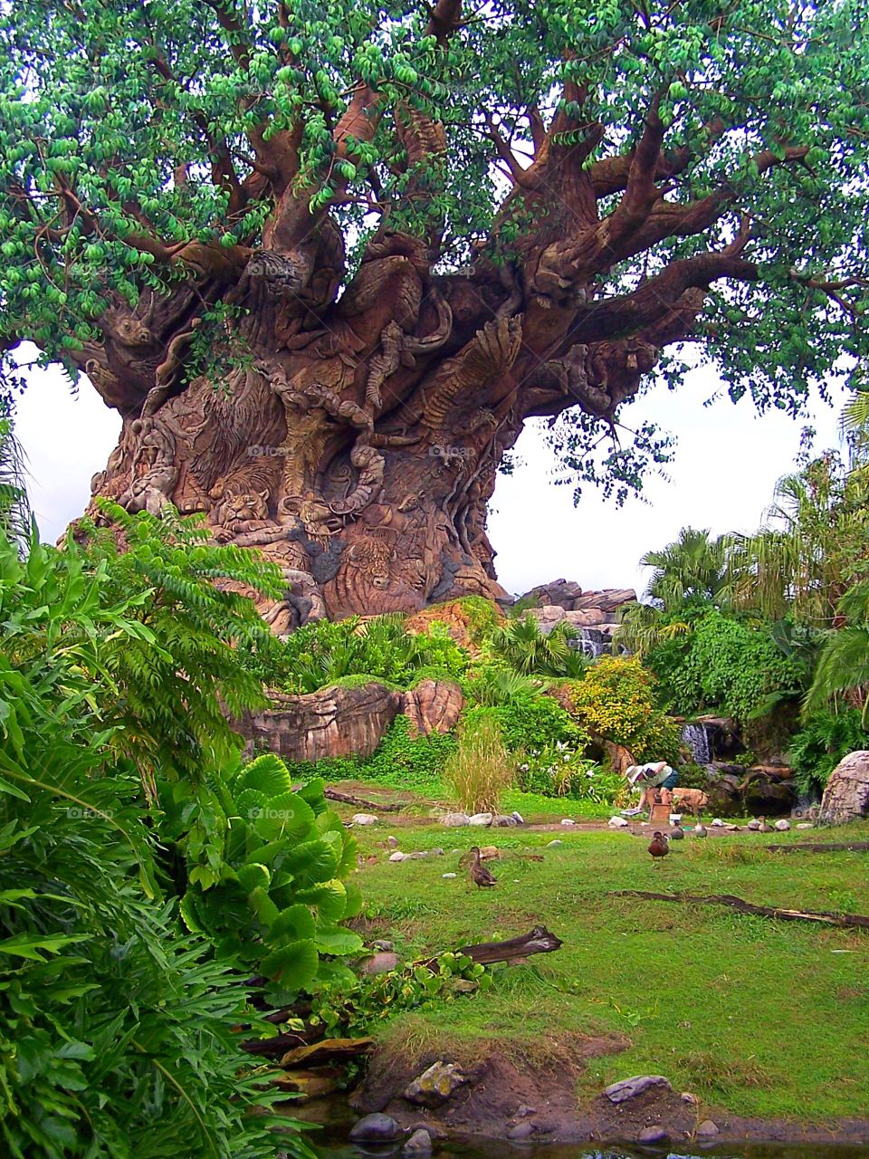 Tree of life, jungle, wood carving, flora and fauna 