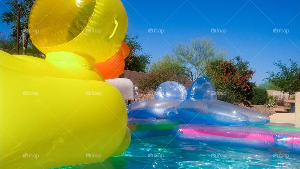 Swimming pool floats