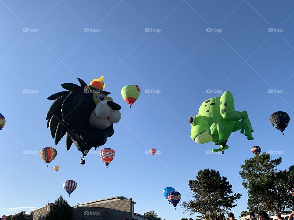 Hot Air Balloon Frog and Lion