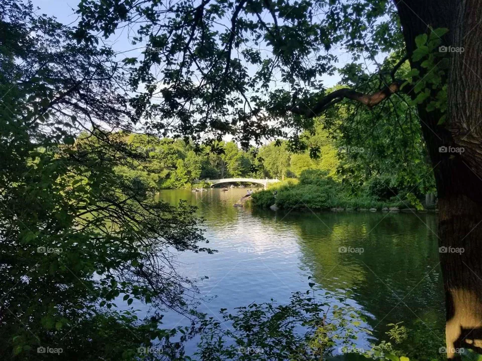 river