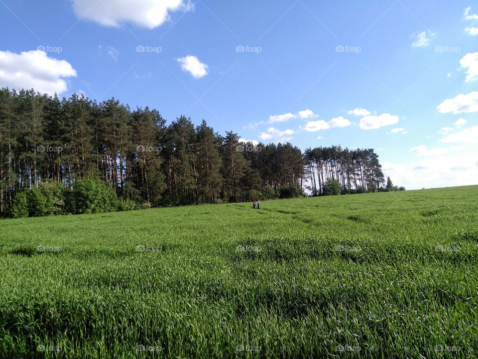 green field and children play summer landscape