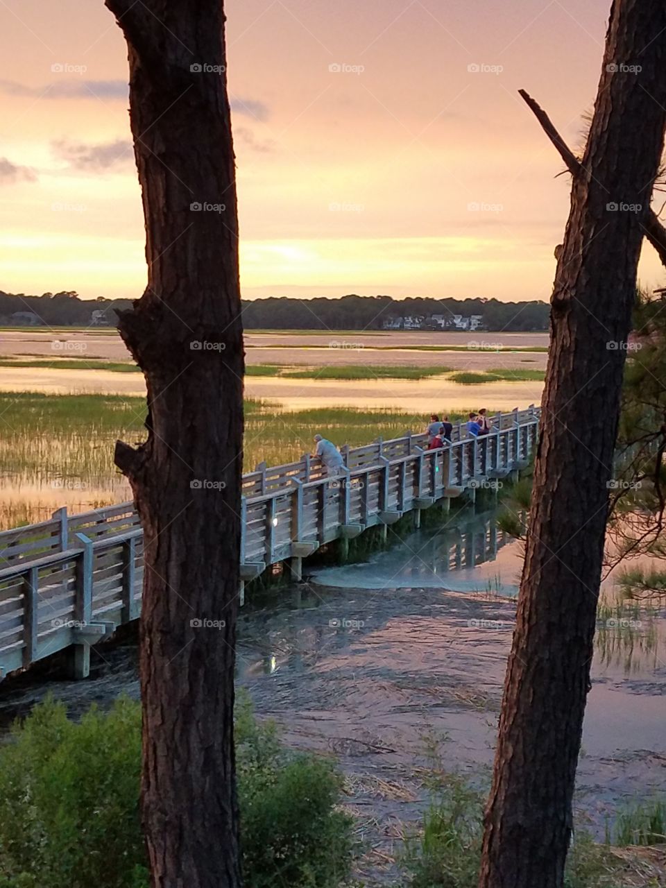 Broad Creek sunset