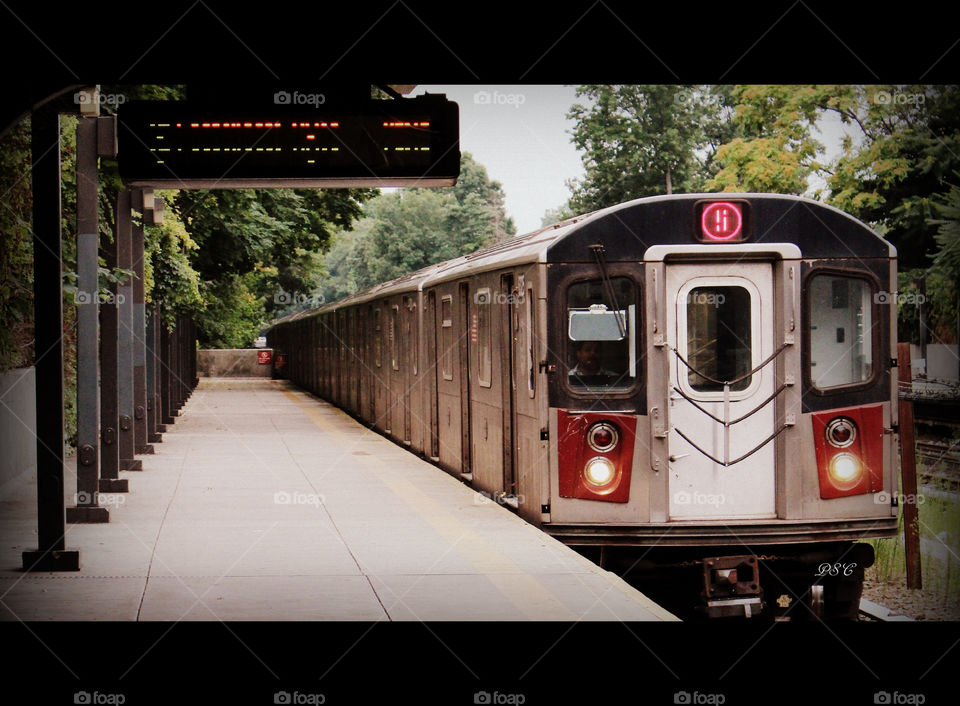 Bronx train 5