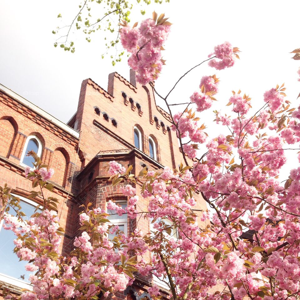 Spring time in Lüneburg