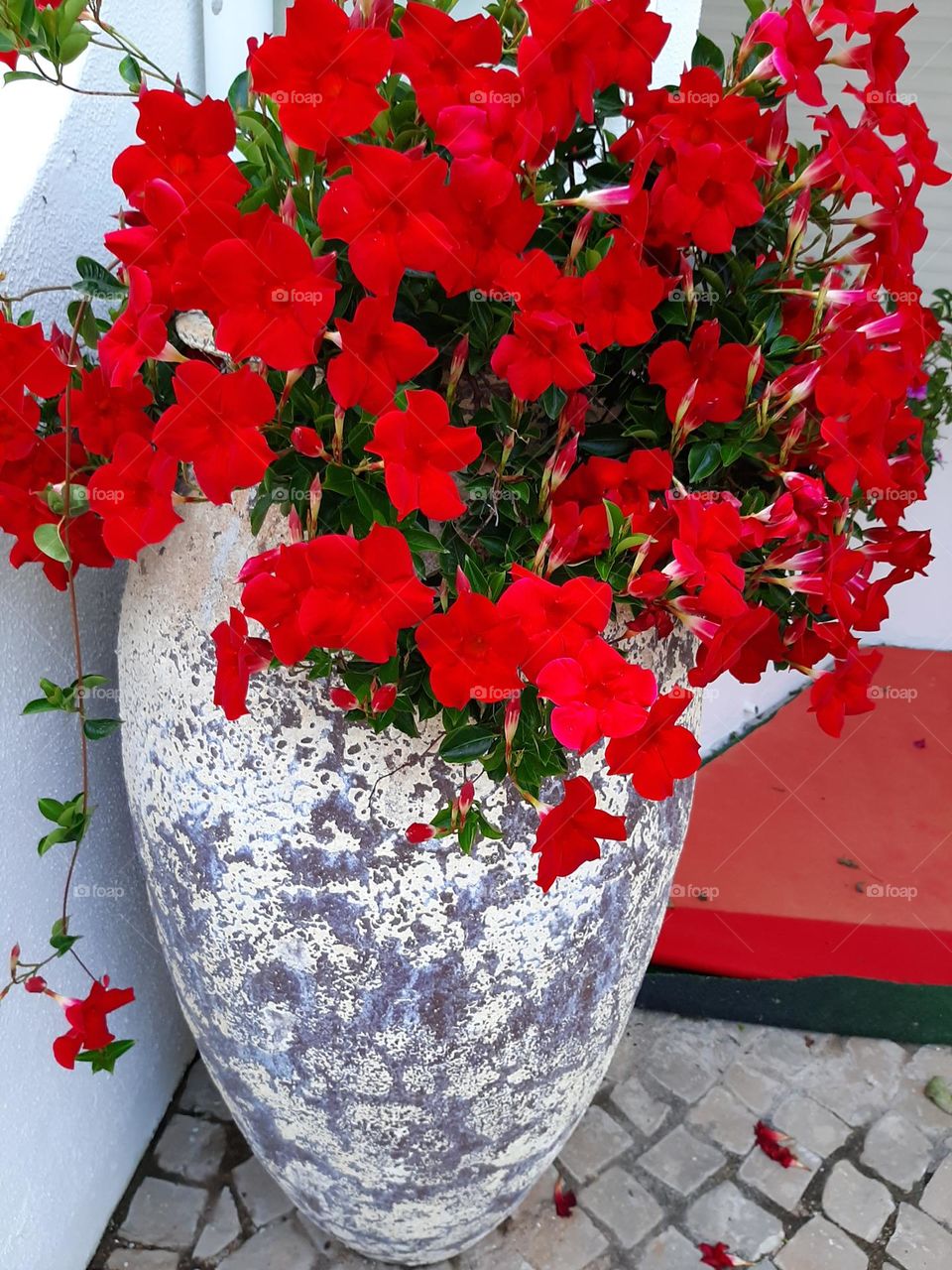 Picturesque colourful vase