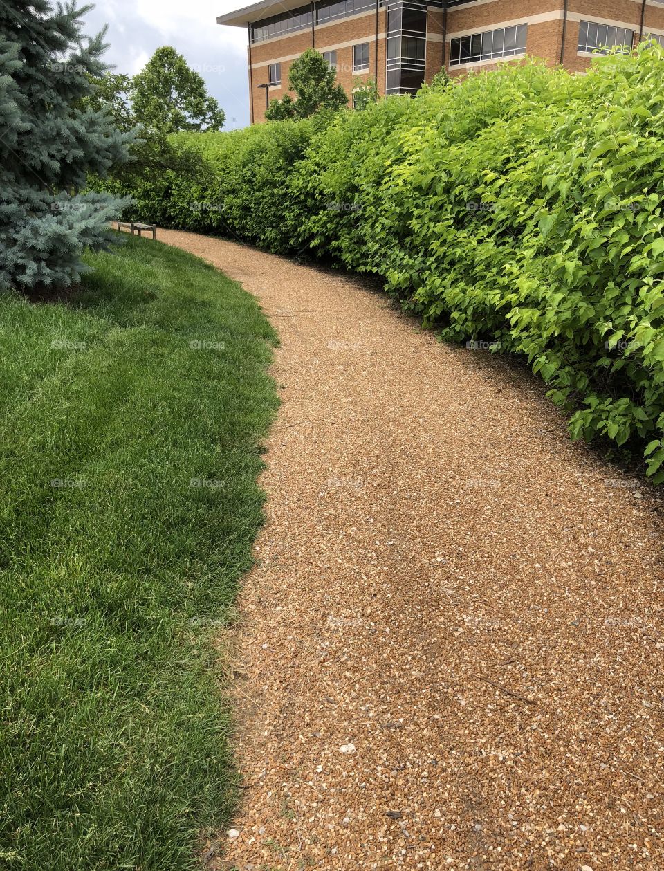 Winding Walking Trail 