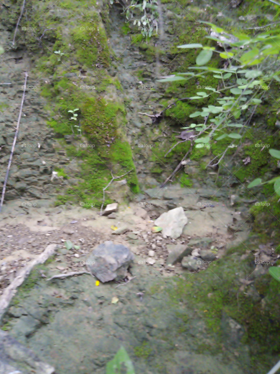 the nature of the field