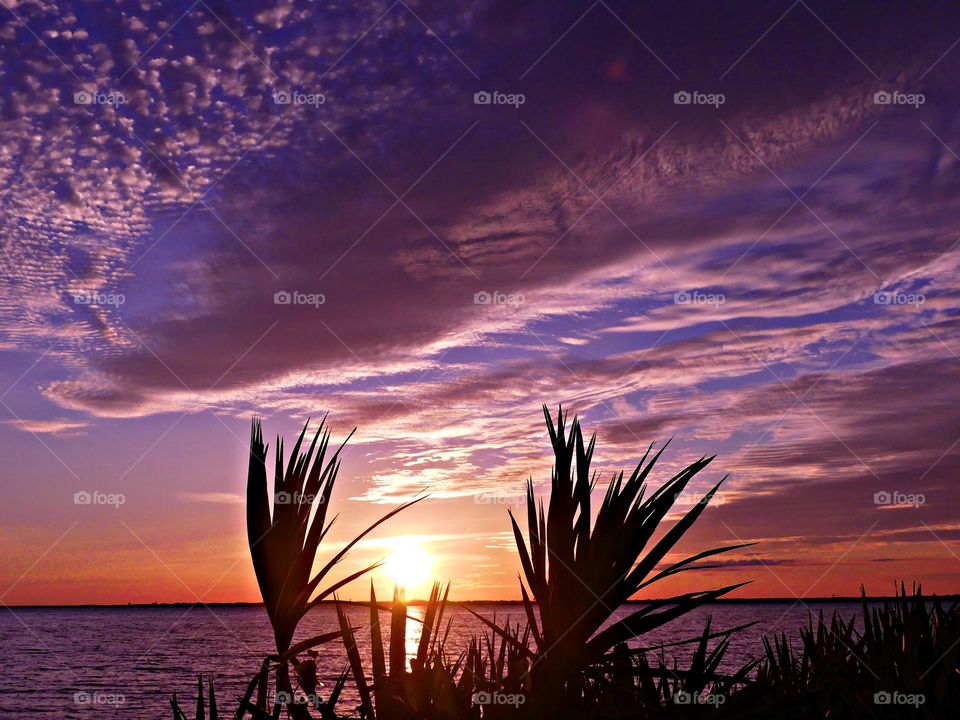 Magic of Sunrise and Sunset - The radiance of the beautIful mauve colored sky from the descending sunset was glorious to behold and increasing every moment in splendor