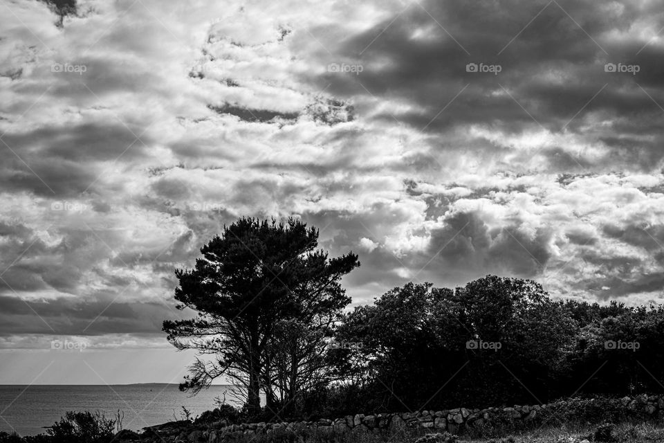 On the Way to the Ocean