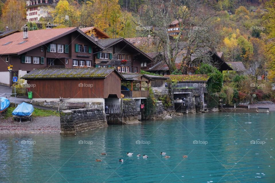 Urban#lake#houses