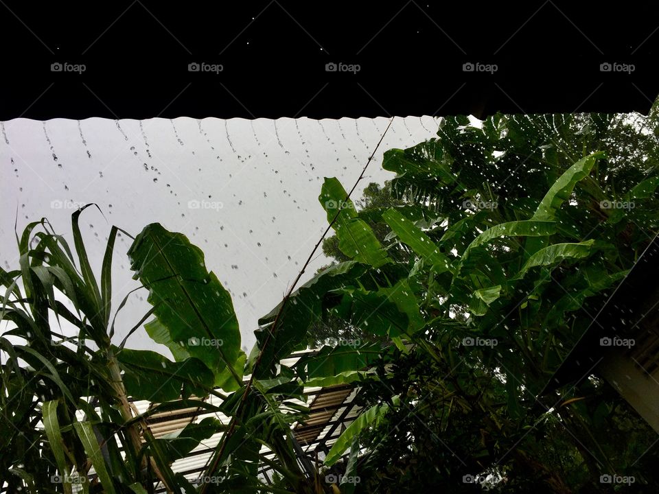 Rain makes everything beautiful.