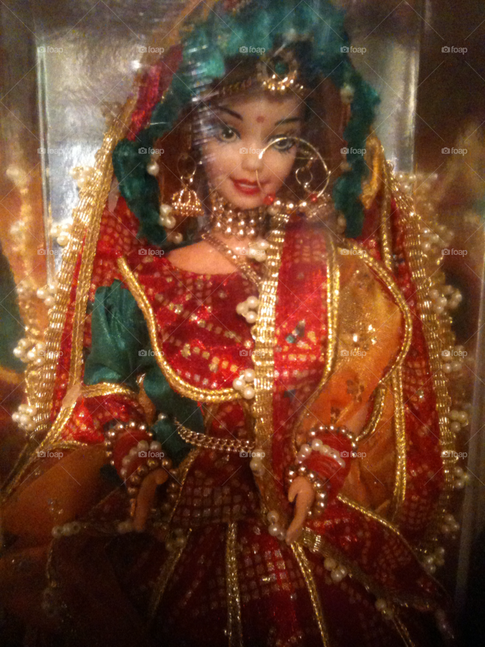 nice original new dehli indian barbie by craigm