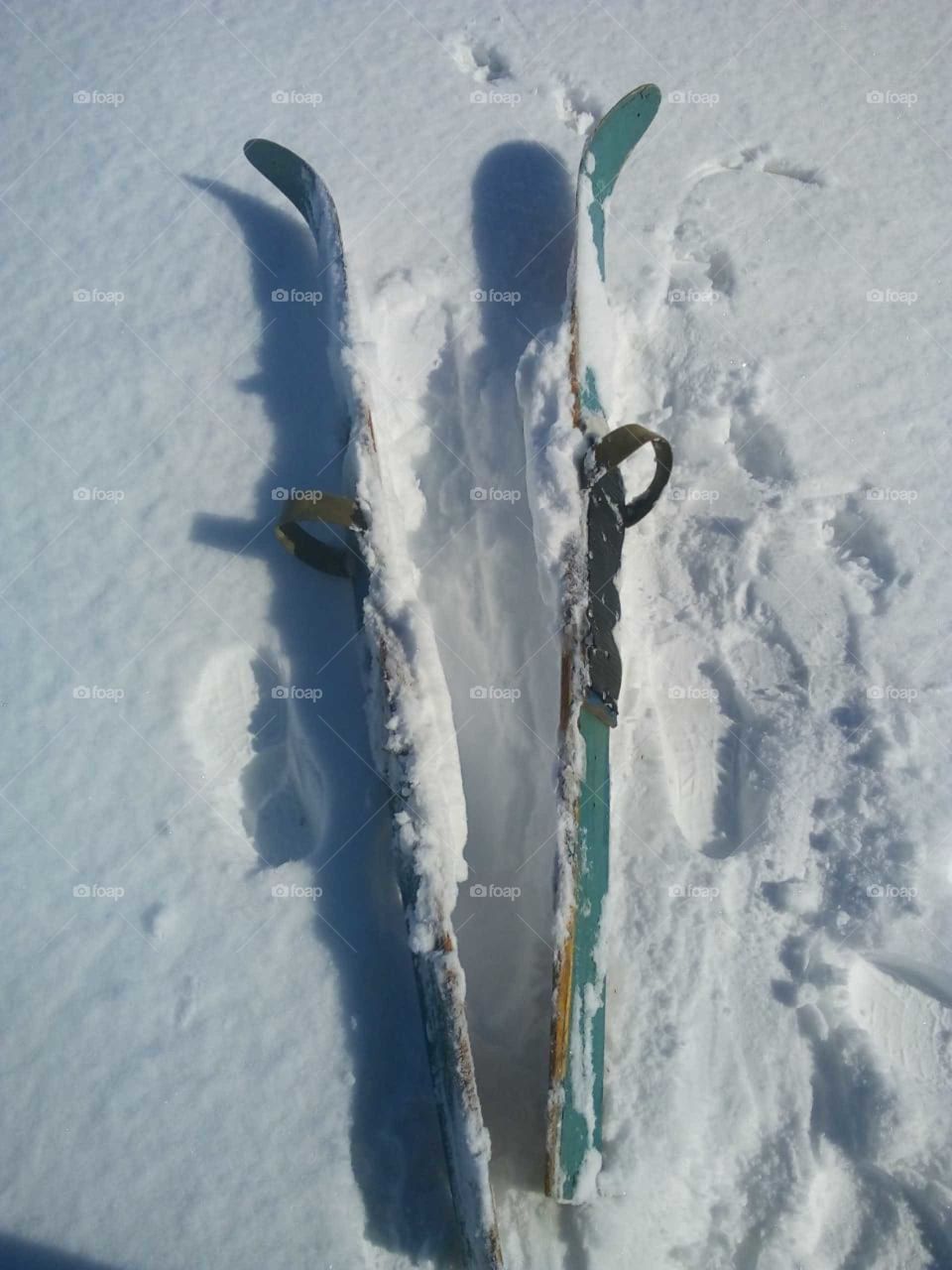 hunting skis lie in the snow in the forest in winter