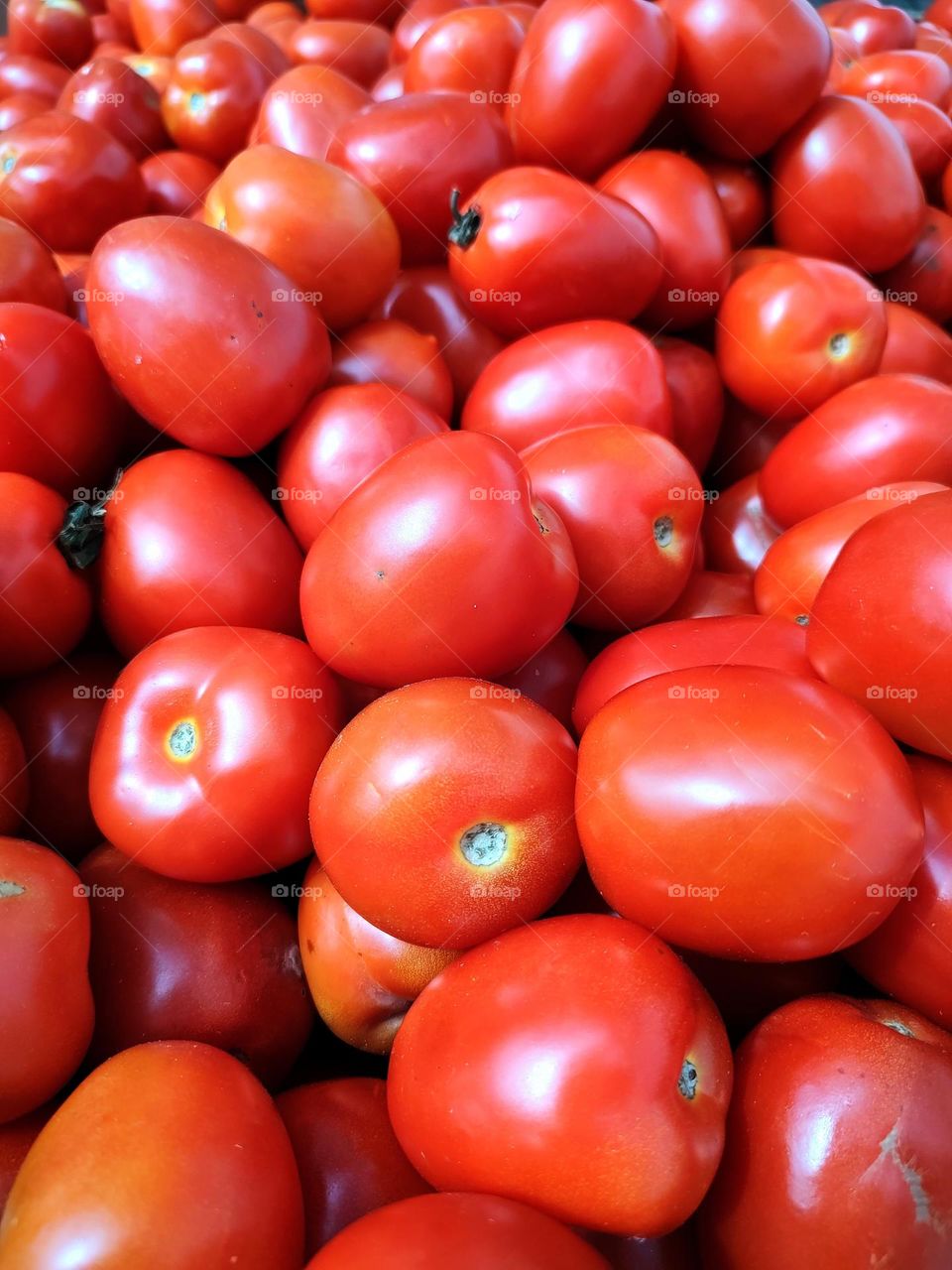 very red ripe tomatoes, excellent choice for a good sauce. With fine herbs it is delicious.