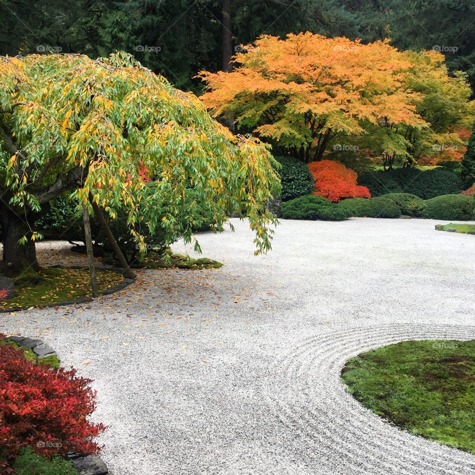 Japanese Gardens in Portland, Oregon 