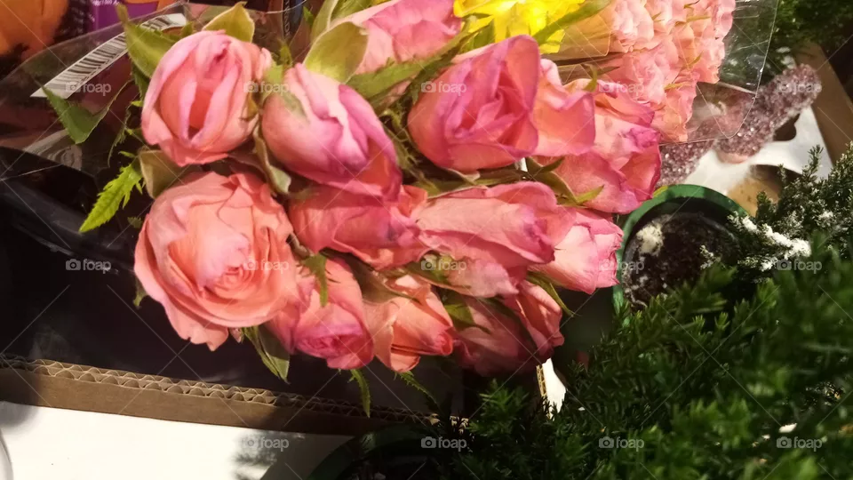 Blumen