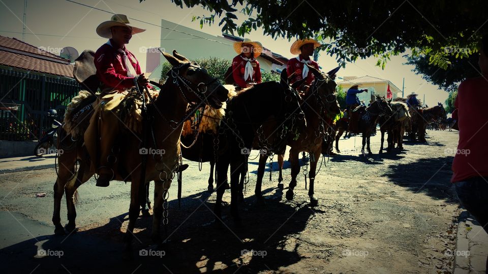 Cavalos, touros e cavaleiros. Cavalgada nas ruas. Evento agropecuario tradicional comemorativo de aniversario da cidade. Cowboys e Cowgirls.
