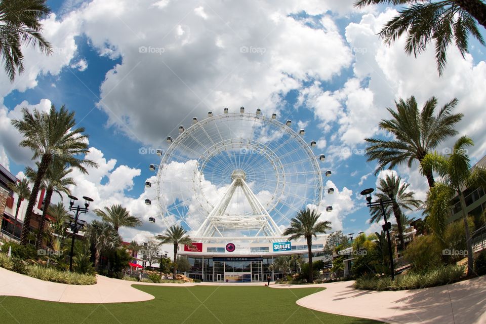 The Orlando Eye