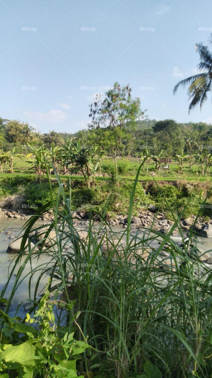 View of the surrounding river