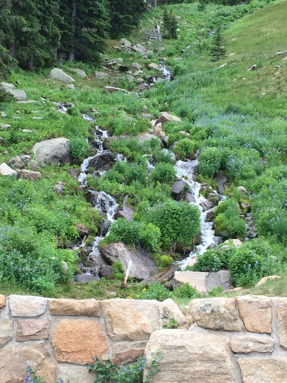 Mountain Streams Downhill