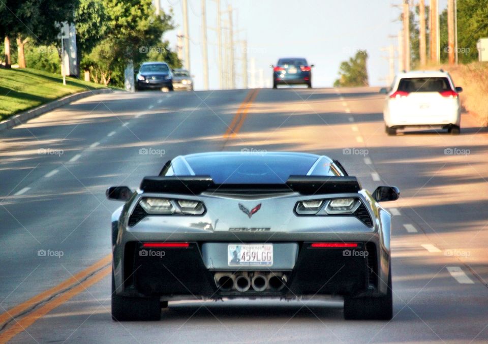 Corvette on the Road 