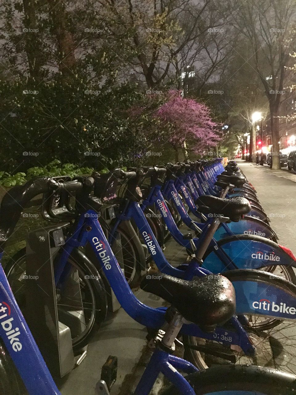 Citi bikes by the Central Park, NYC 