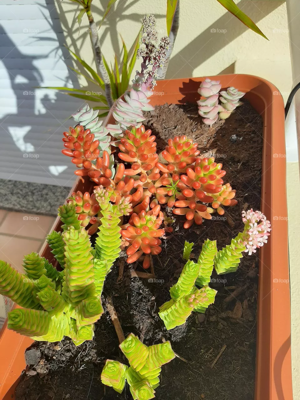 My Spring!