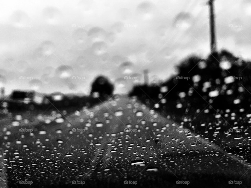 Rainy day commute 