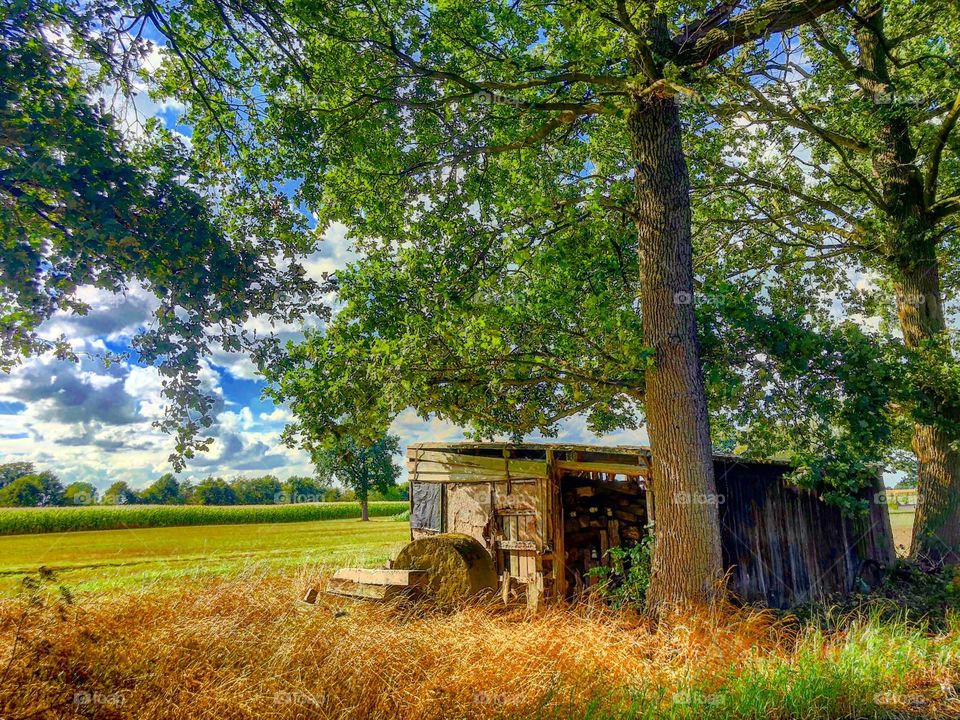 The old barn