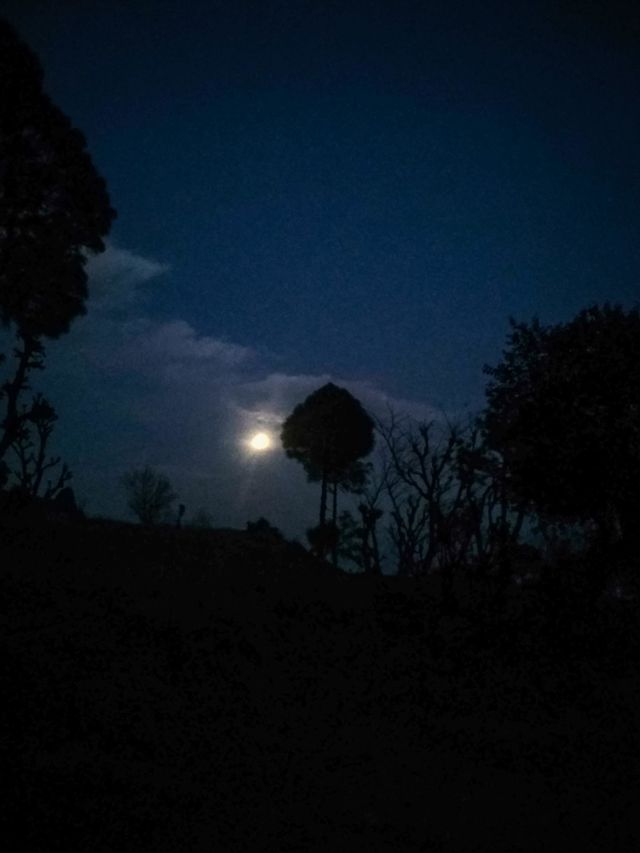 Evening Moon.