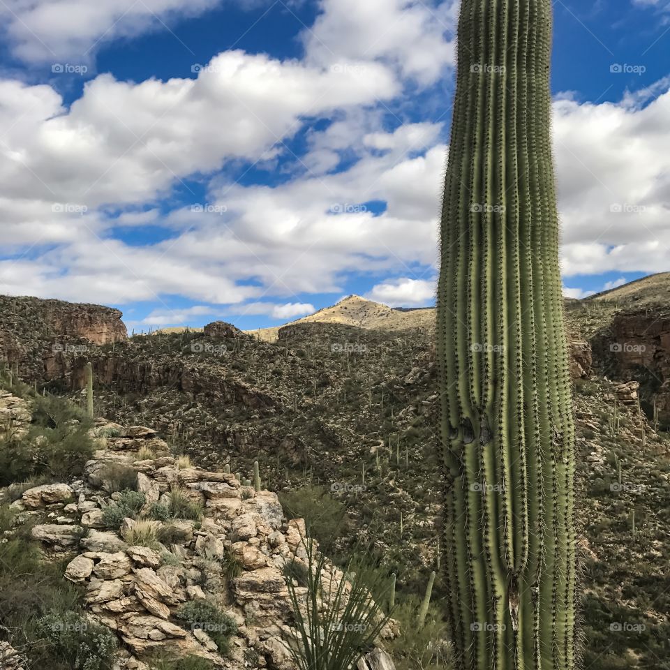 Desert Mountain Landscape 