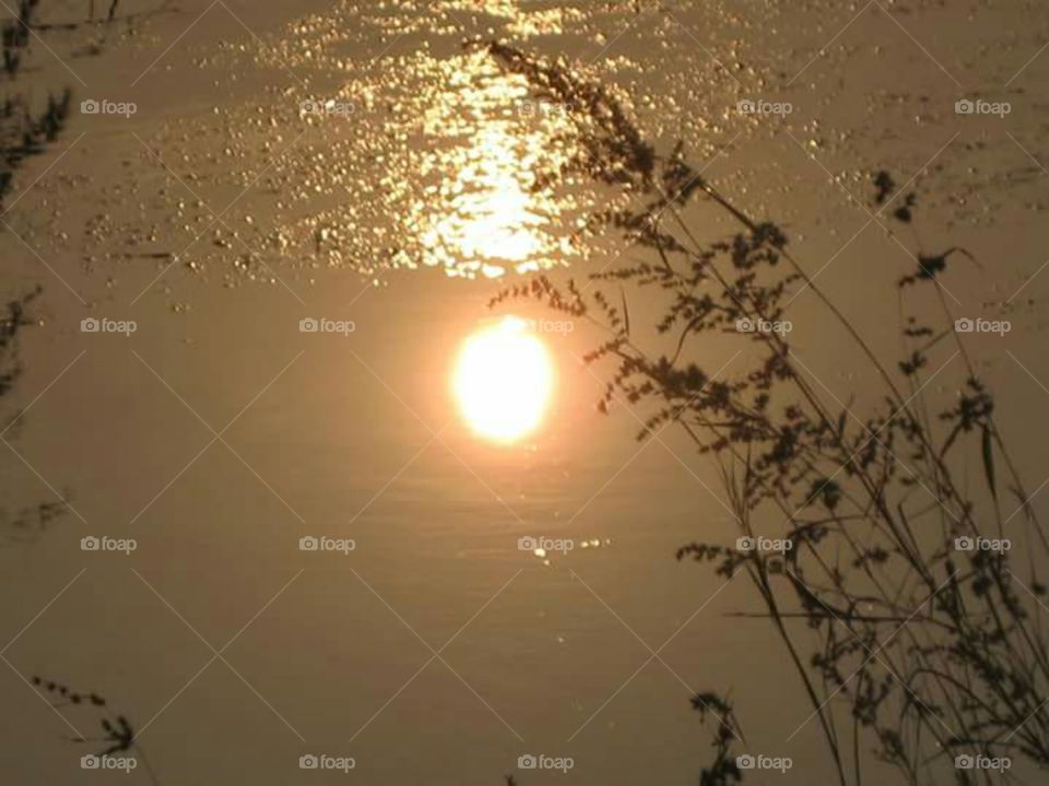 Sun image on water surface