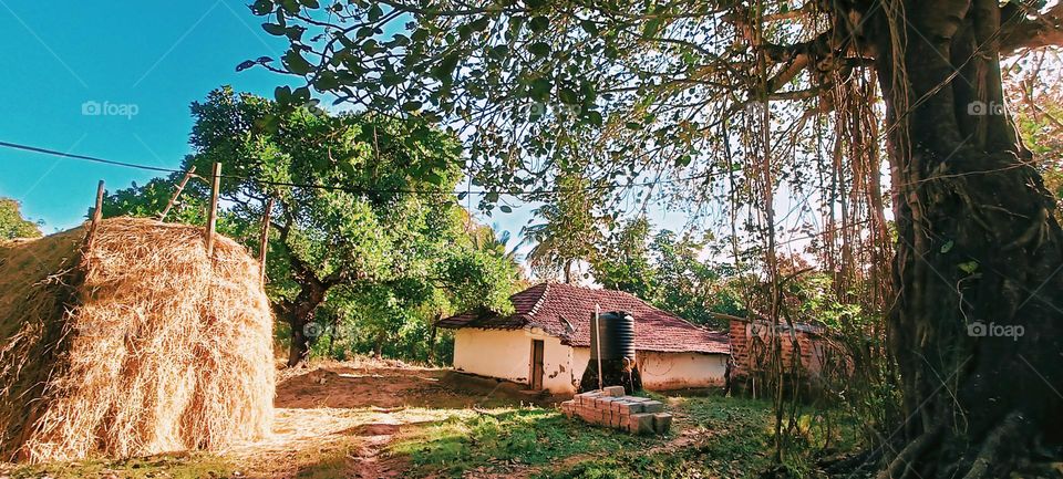 𝑀𝑦 𝑣𝑖𝑙𝑙𝑎𝑔𝑒