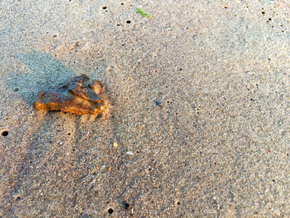 Beach with shells and stones