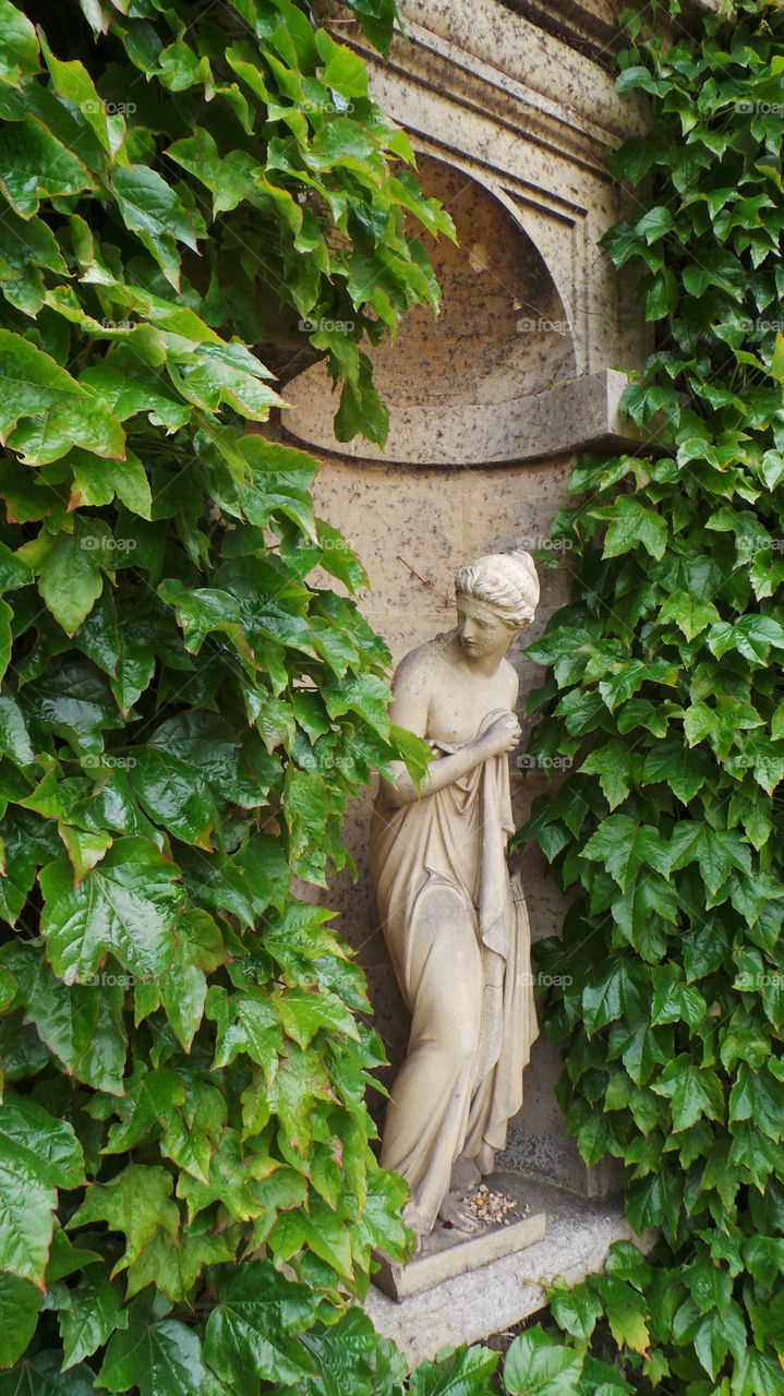 sculpture with ivy in stately home grounds. Lincolnshire.  england