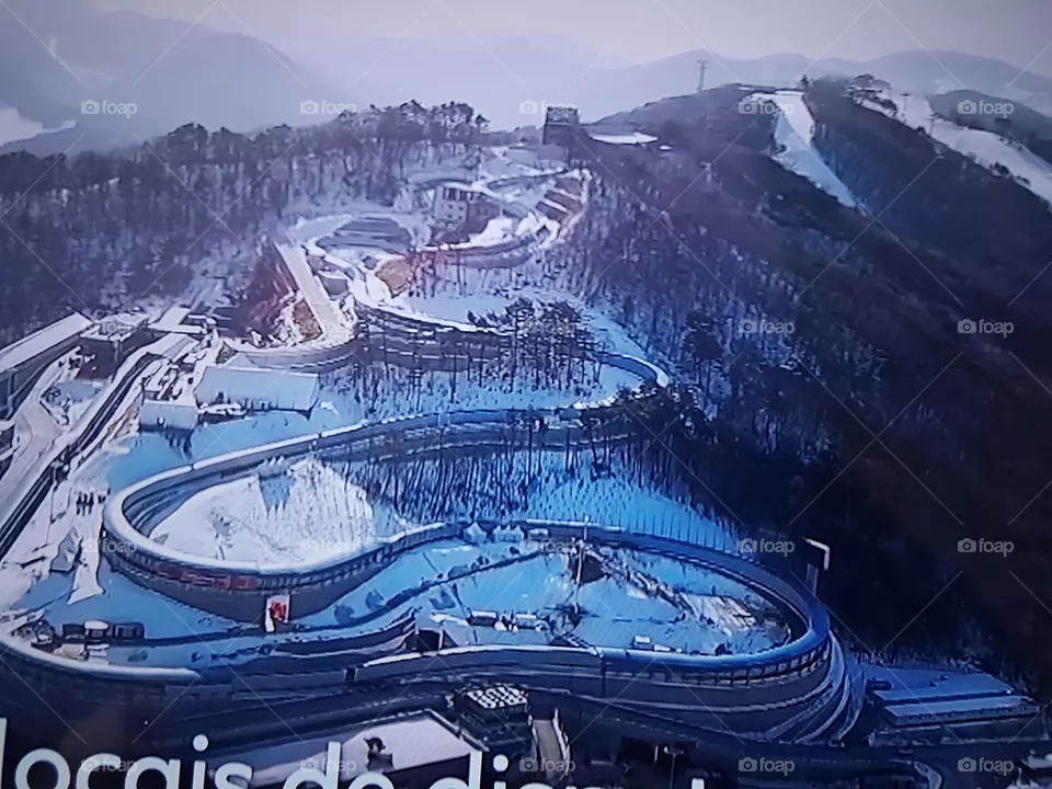 Pista