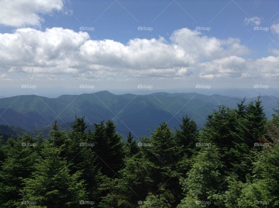 Going up Mount Mitchell 