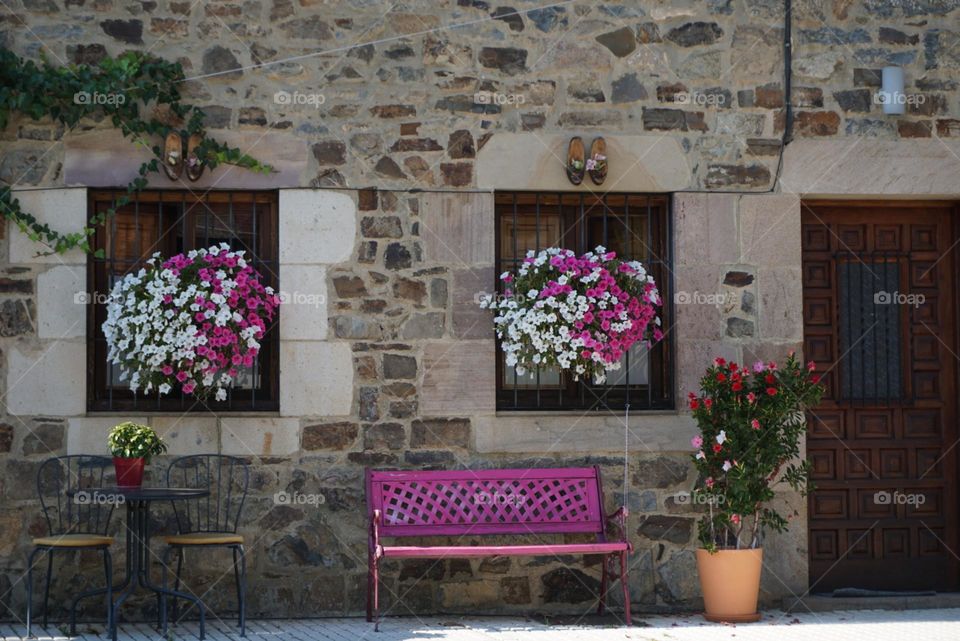 Pink#flowers