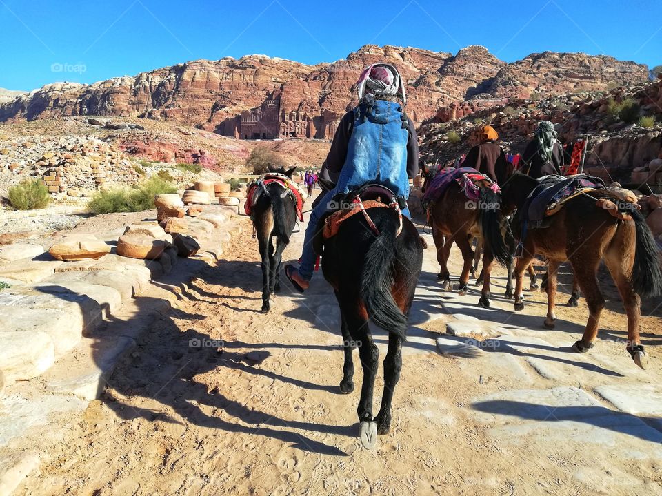 Endurance riding between the temples of Petra