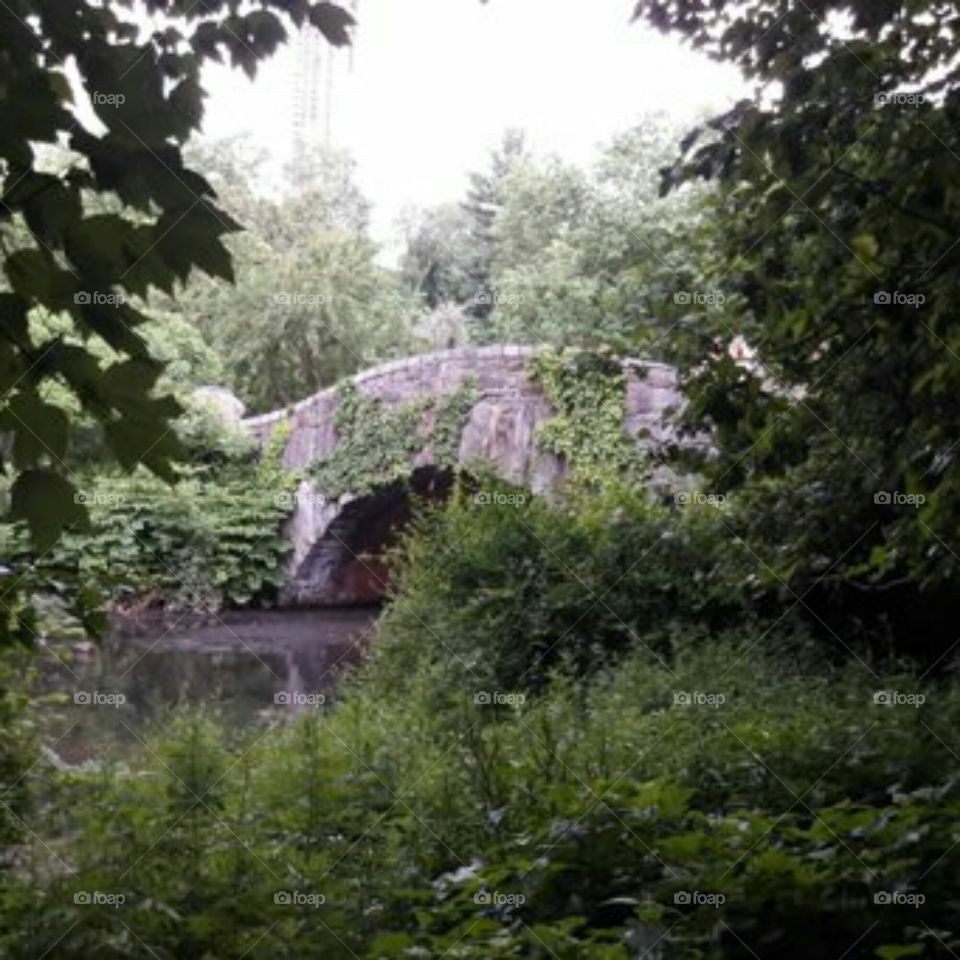 Central Park, NYC.