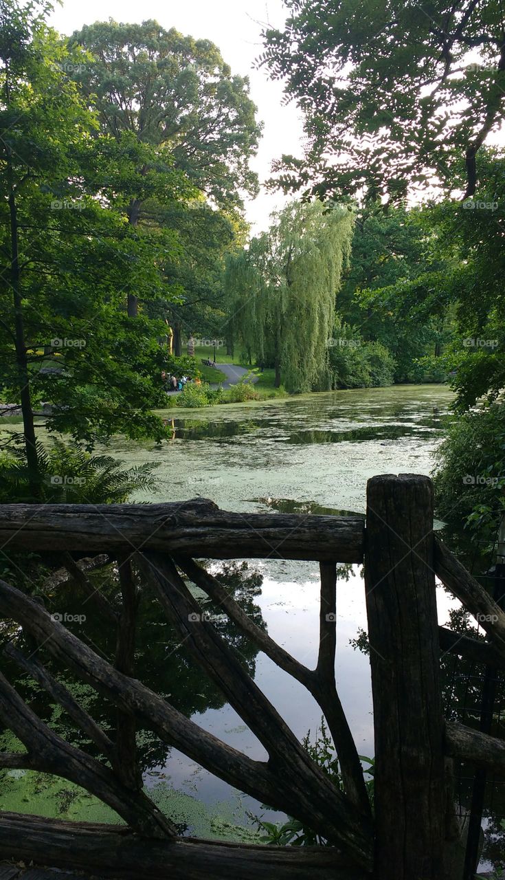 Scene from Central Park NYC