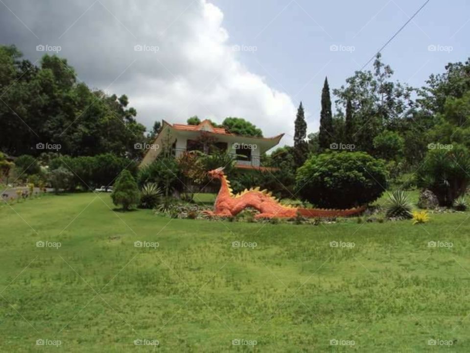 Dragon house in Puerto  Rico.