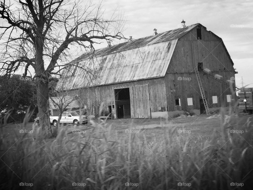 Black and white barn 