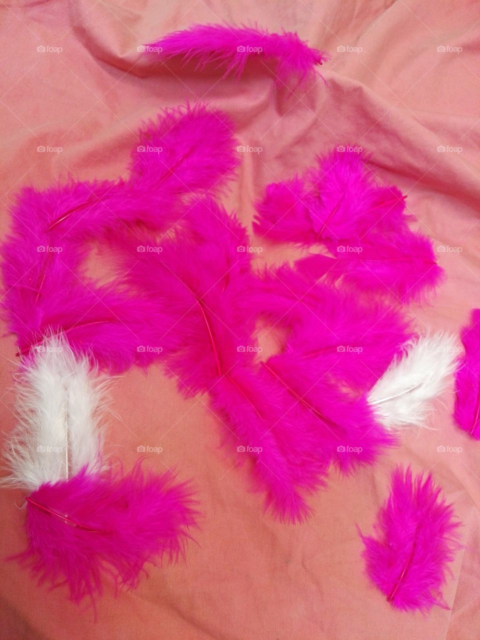 pink feathers on pink pillow