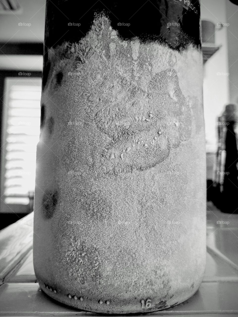 Frozen Bottle Art in Black and White